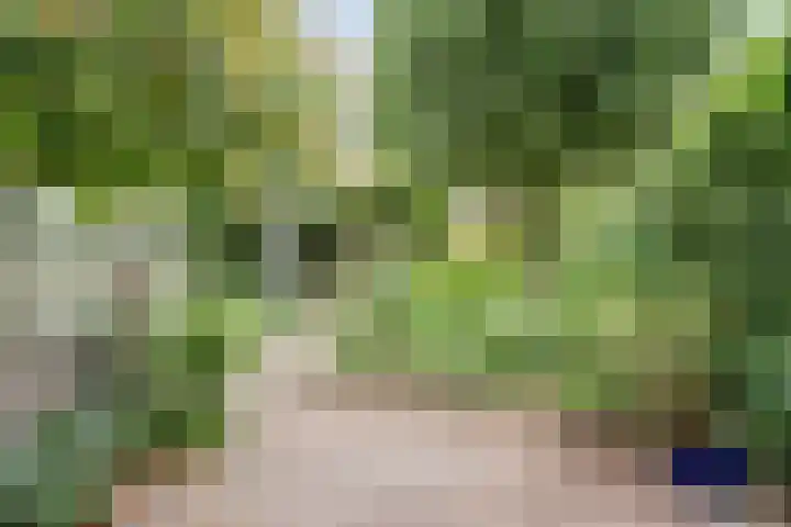 Oude Graafseweg 224 Nijmegen thumbnail 30