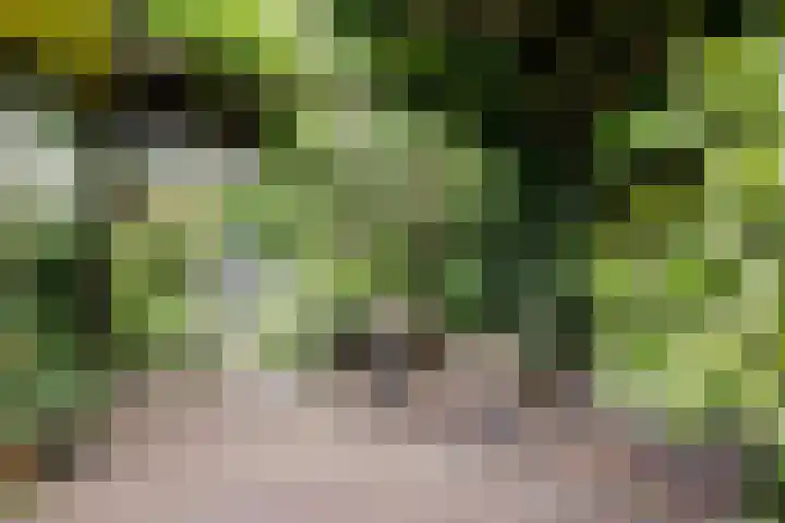Oude Graafseweg 224 Nijmegen thumbnail 32