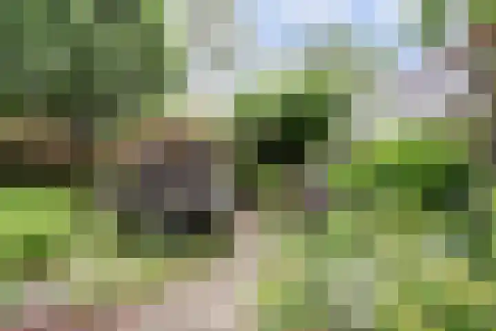 Oude Graafseweg 224 Nijmegen thumbnail 33