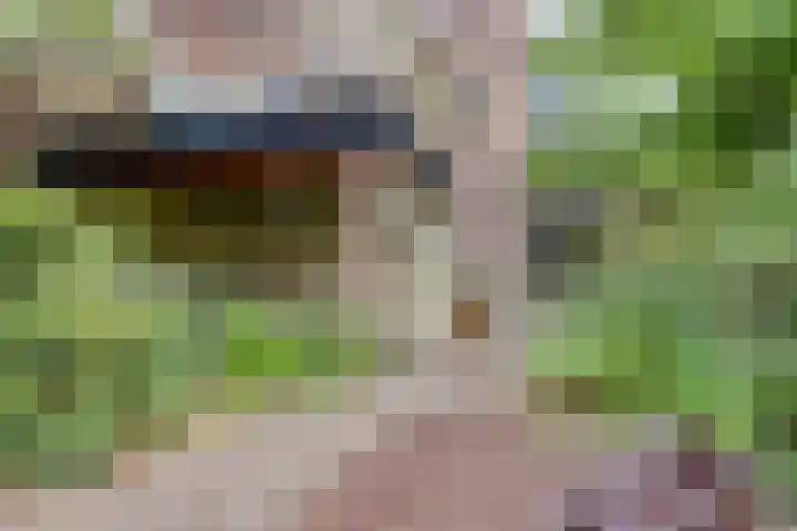 Oude Graafseweg 224 Nijmegen thumbnail 36
