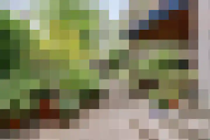 Oude Graafseweg 224 Nijmegen thumbnail 37
