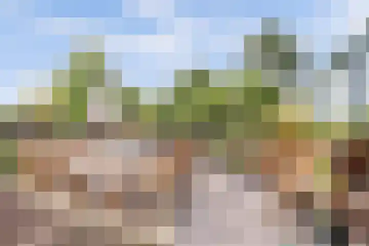 Oude Graafseweg 224 Nijmegen thumbnail 42