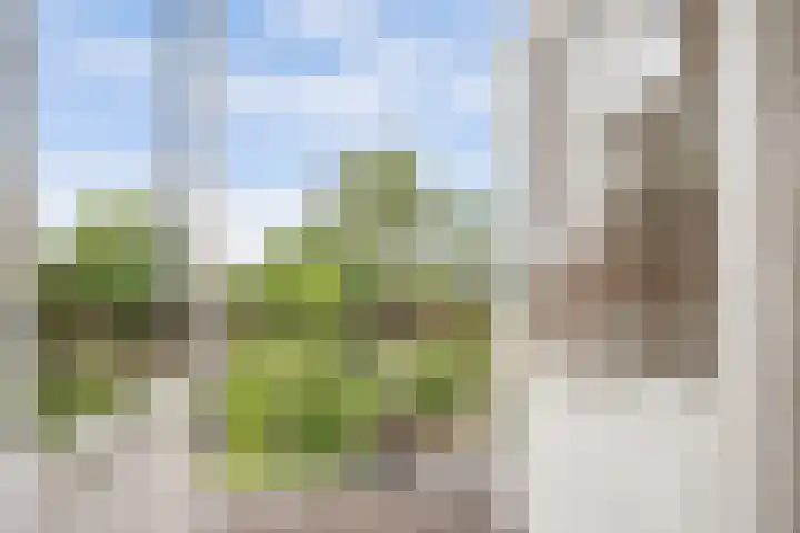 Oude Graafseweg 224 Nijmegen thumbnail 50