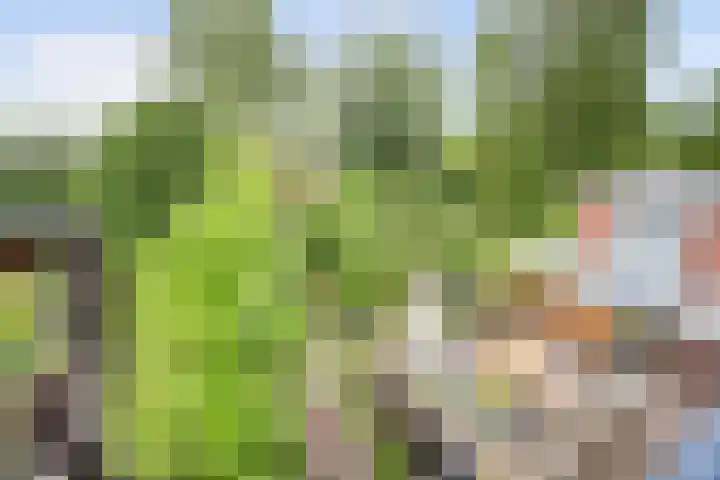 Oude Graafseweg 224 Nijmegen thumbnail 70
