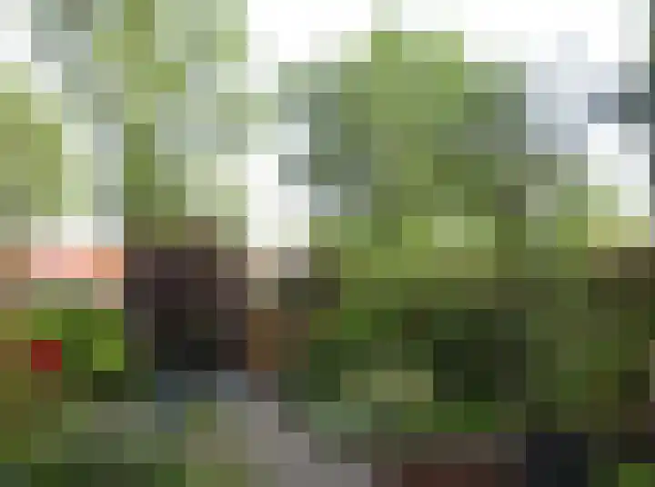 Oude Graafseweg 224 Nijmegen thumbnail 71