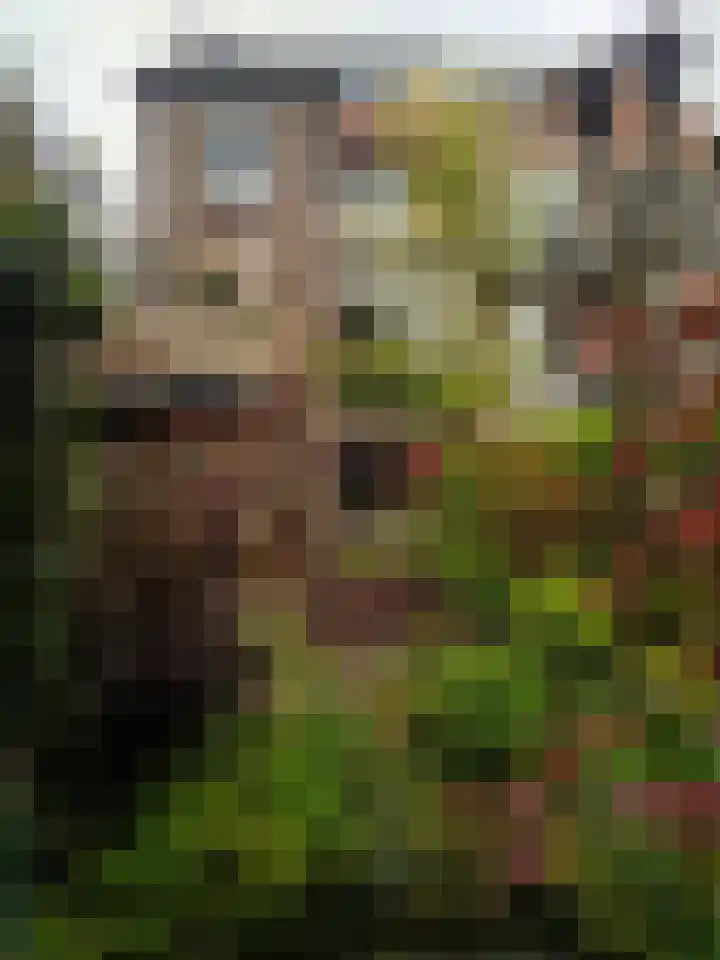 Oude Graafseweg 224 Nijmegen thumbnail 72