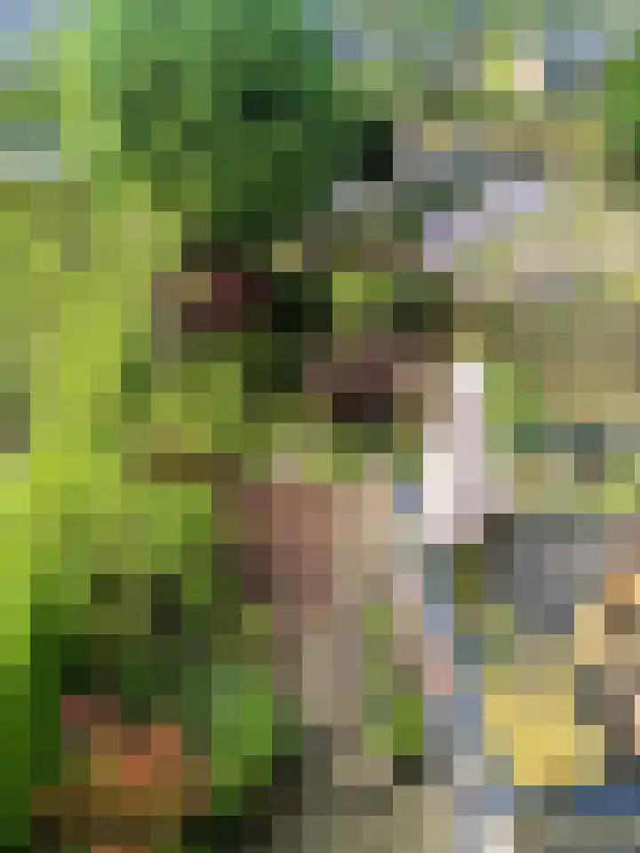 Oude Graafseweg 224 Nijmegen thumbnail 73