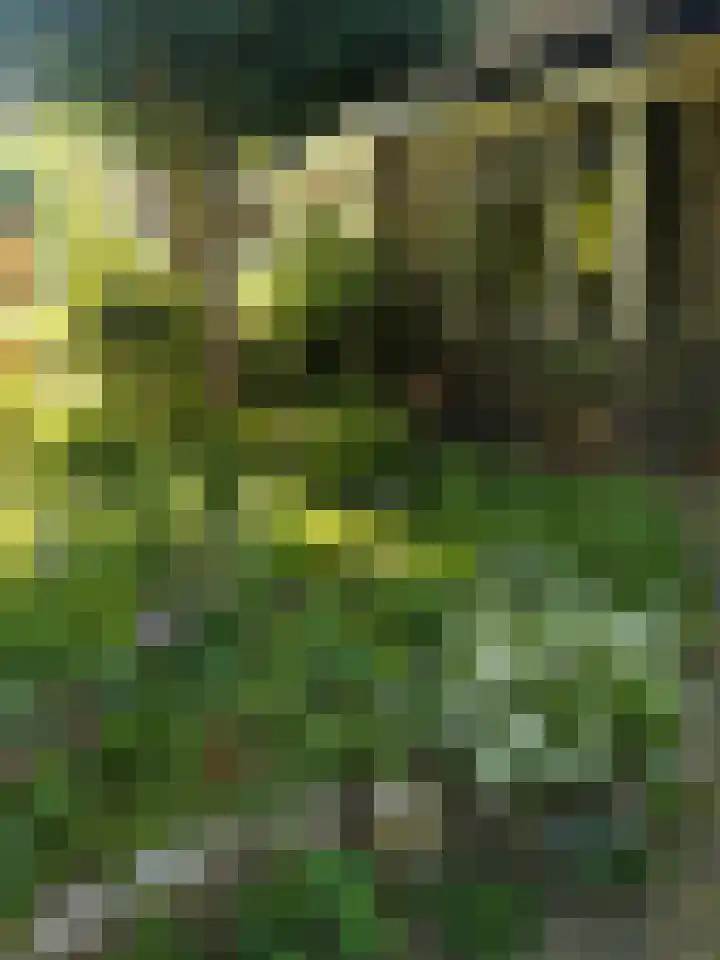 Oude Graafseweg 224 Nijmegen thumbnail 74