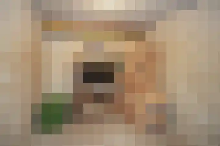 Oude Graafseweg 227 Nijmegen thumbnail 21