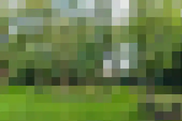 Oude Graafseweg 227 Nijmegen thumbnail 25