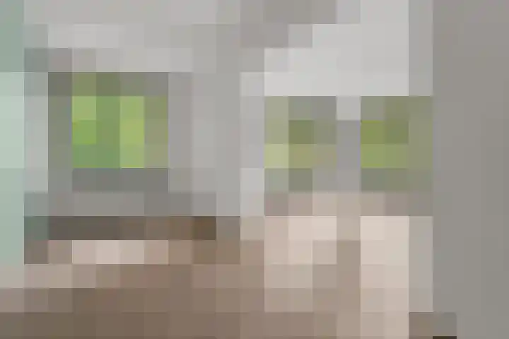 Oude Graafseweg 249 Nijmegen thumbnail 12