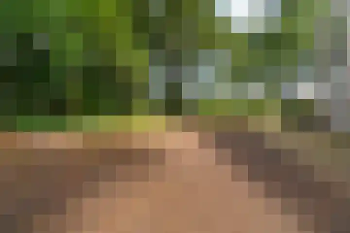 Oude Graafseweg 249 Nijmegen thumbnail 29