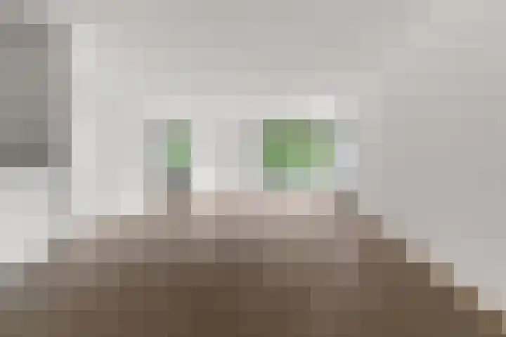 Oude Graafseweg 249 Nijmegen thumbnail 4