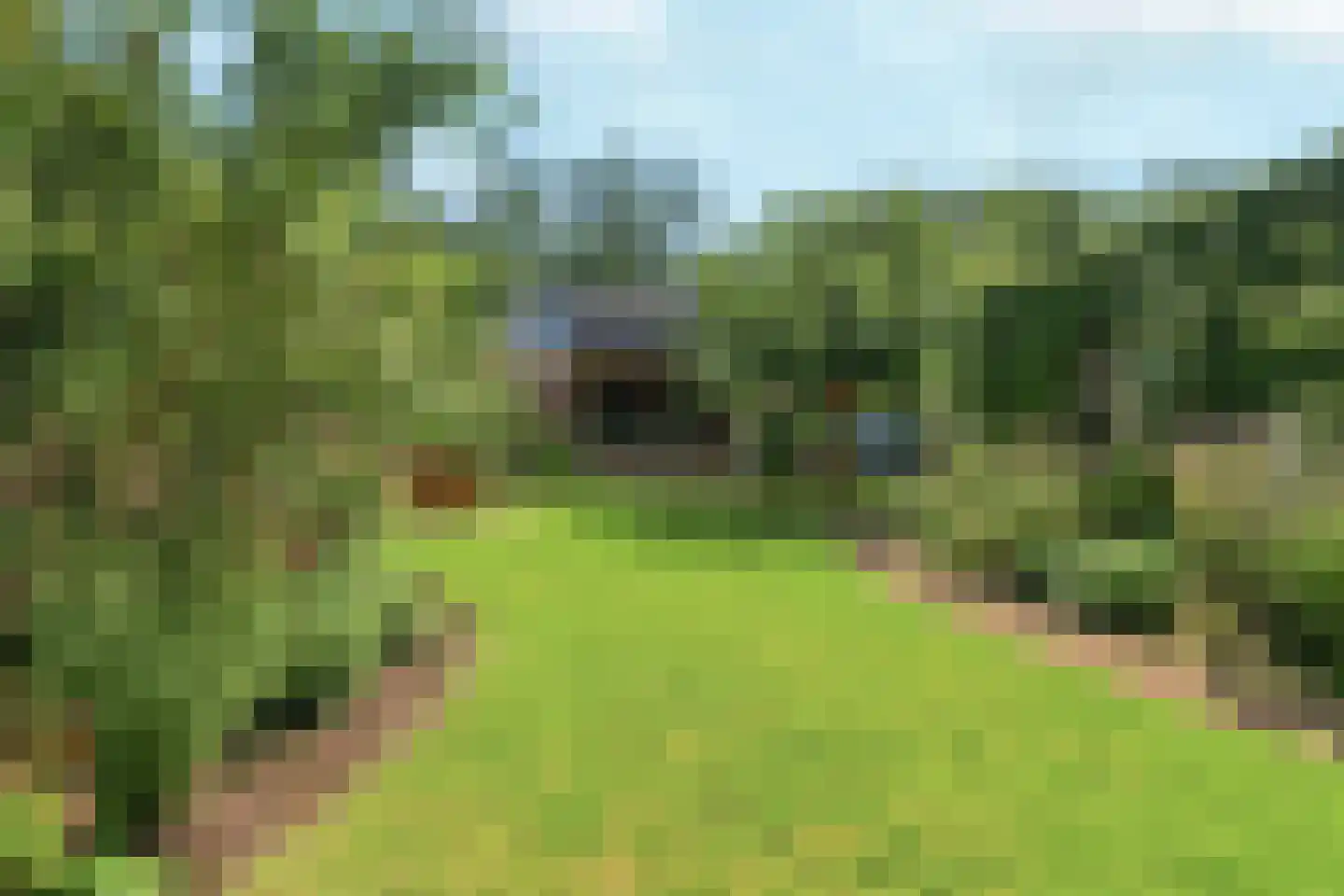 Oude Graafseweg 56 Nijmegen thumbnail 39