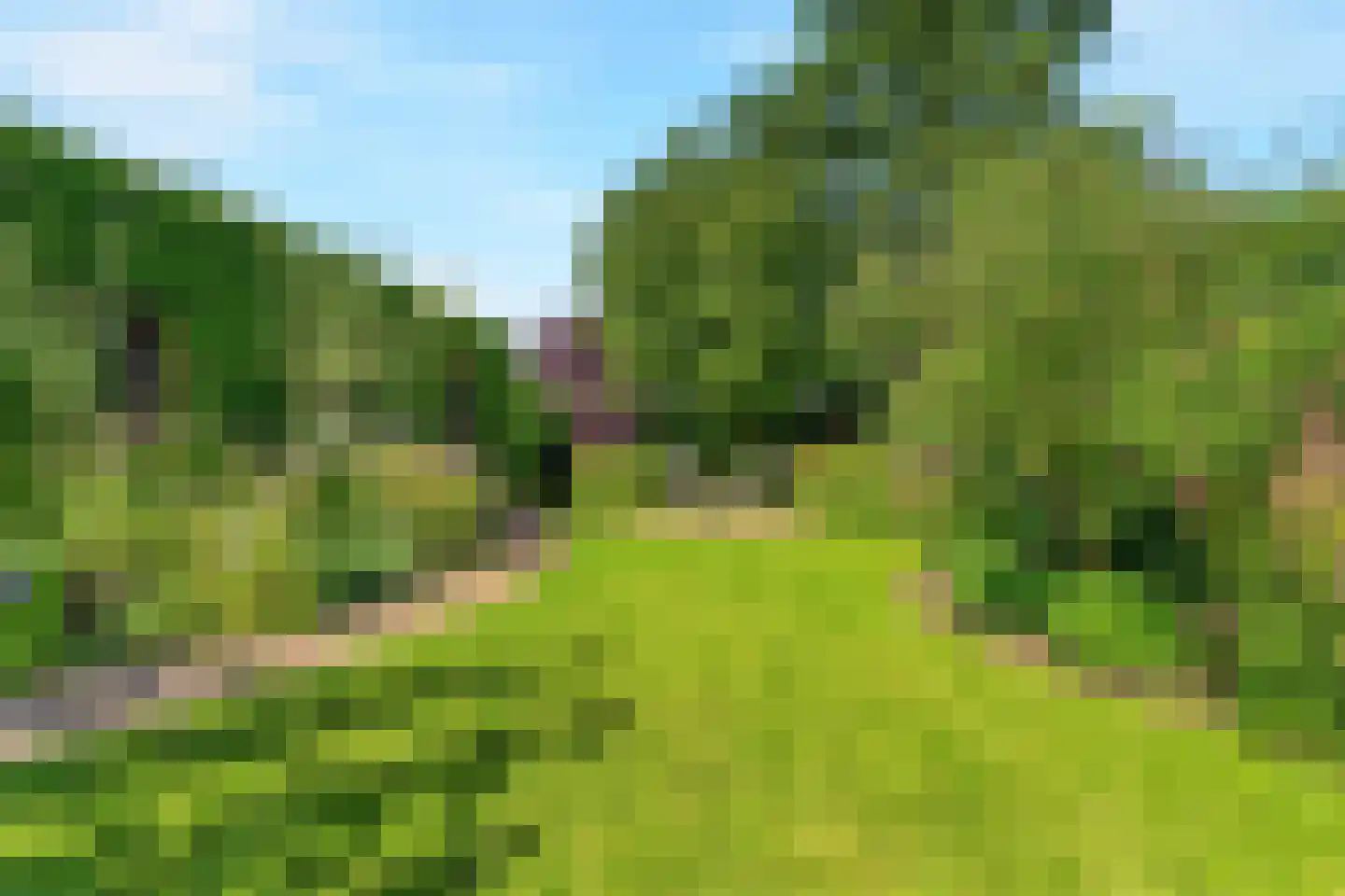 Oude Graafseweg 56 Nijmegen thumbnail 45