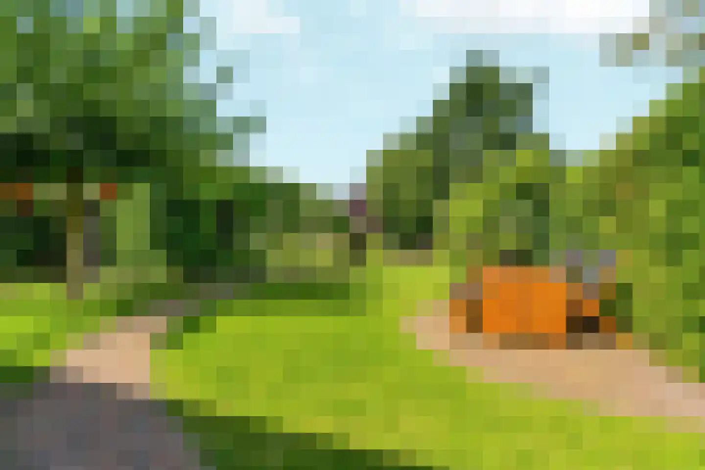 Oude Graafseweg 56 Nijmegen thumbnail 6