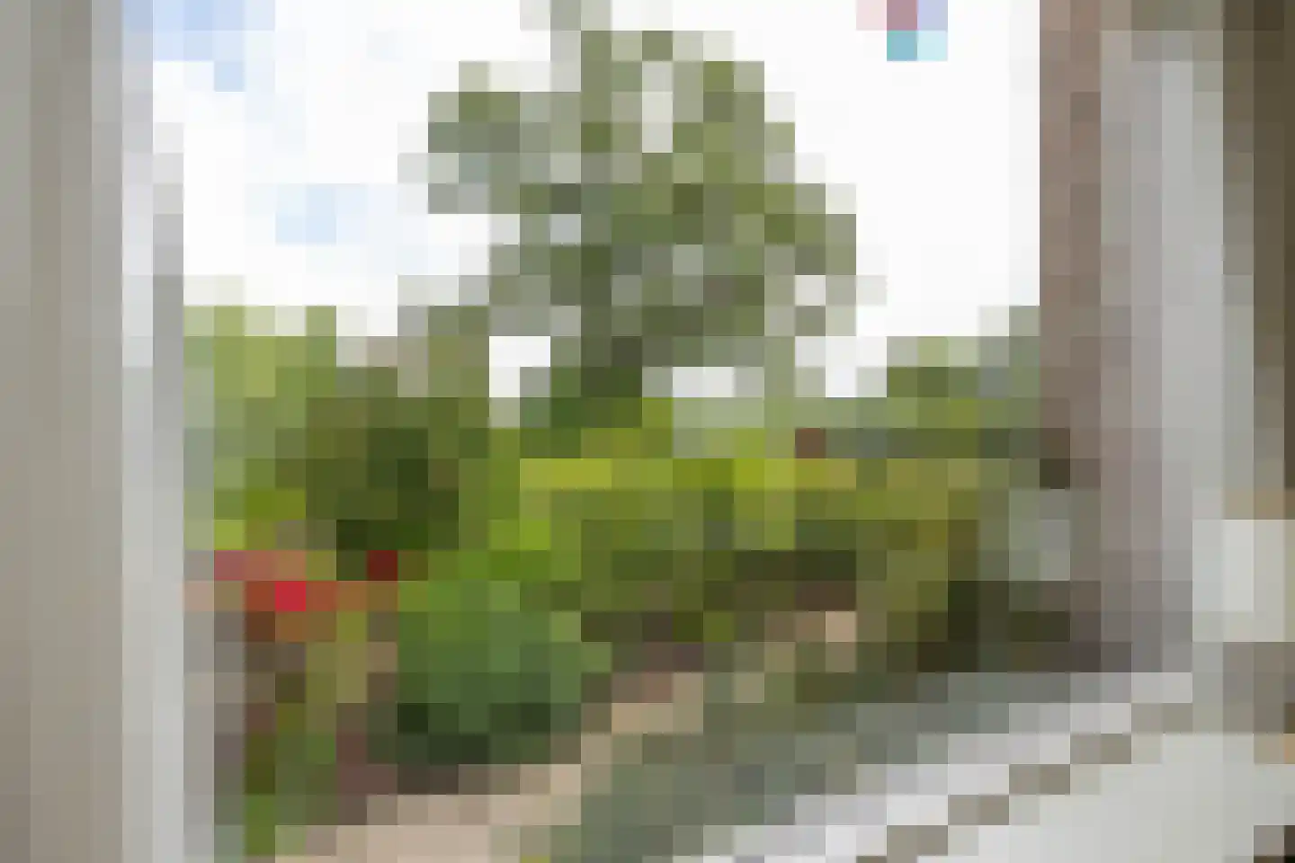 Oude Gracht 2 Coevorden thumbnail 19