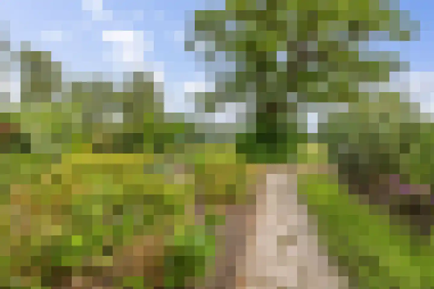 Oude Gracht 2 Coevorden thumbnail 47
