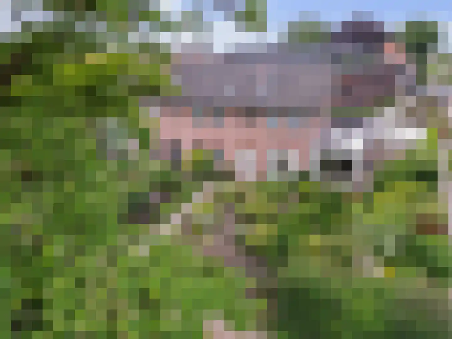 Oude Gracht 2 Coevorden thumbnail 7