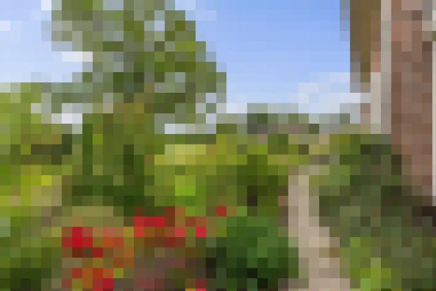 Oude Gracht 2 Coevorden thumbnail 8