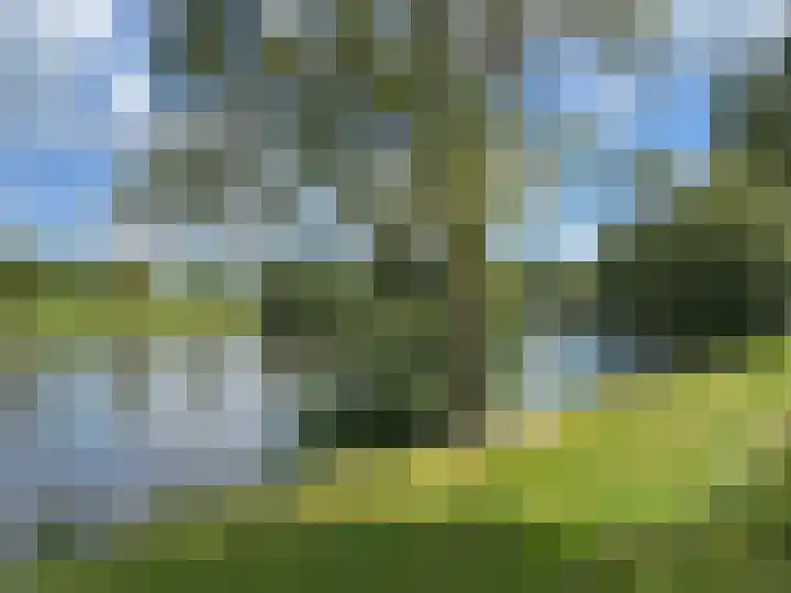 Oude Gracht 7 Coevorden thumbnail 18