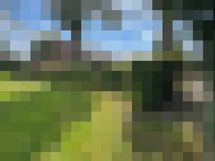 Oude Gracht 7 Coevorden thumbnail 20