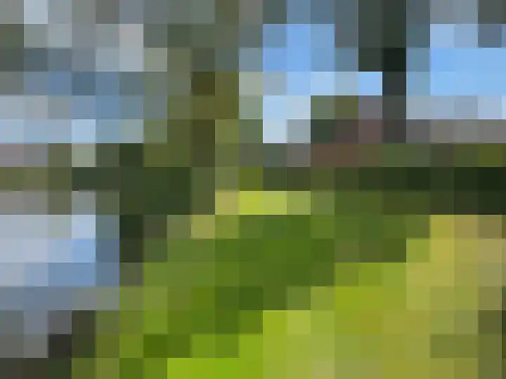 Oude Gracht 7 Coevorden thumbnail 21