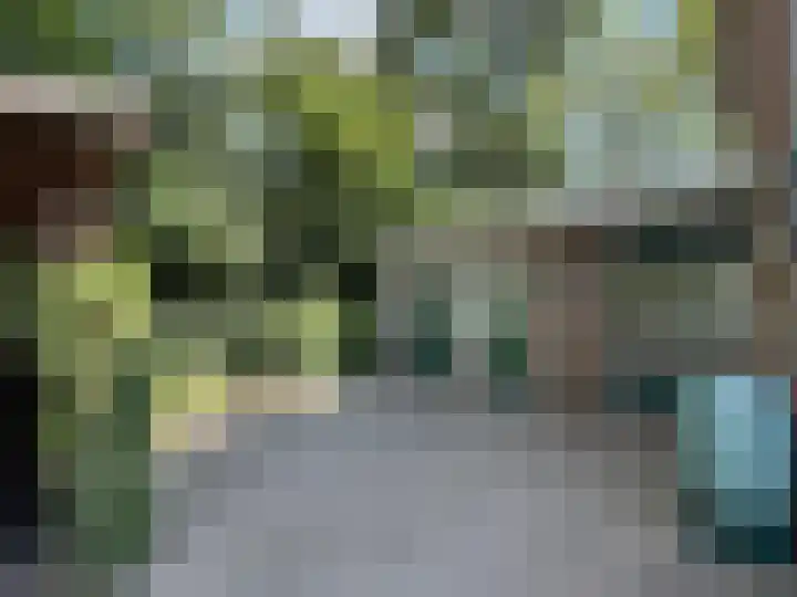 Oude Gracht 7 Coevorden thumbnail 4