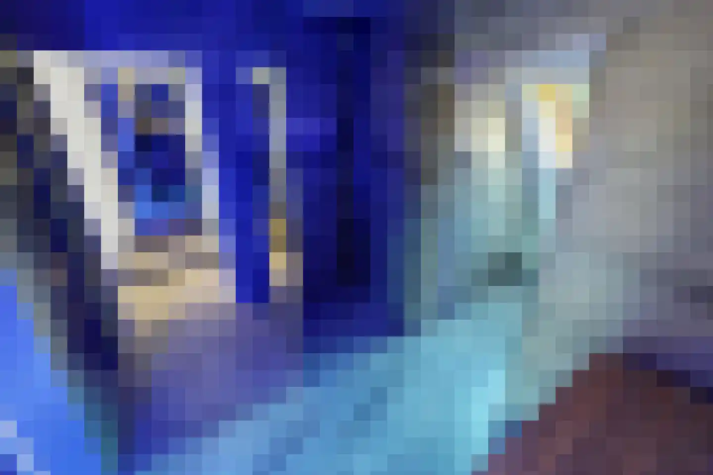 Oude Gracht 7 Enkhuizen thumbnail 30
