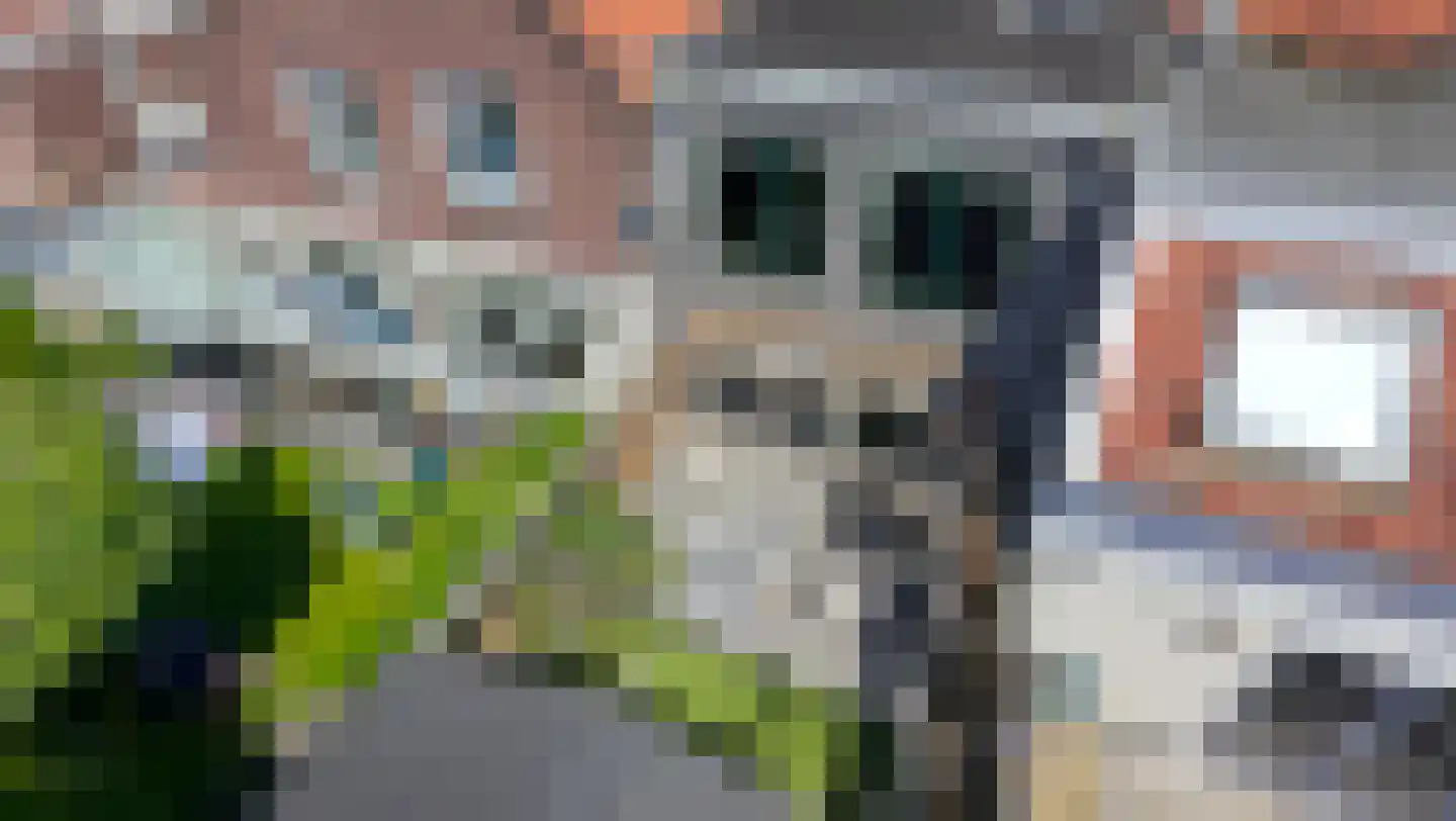 Oude Gracht 7 Enkhuizen thumbnail 40