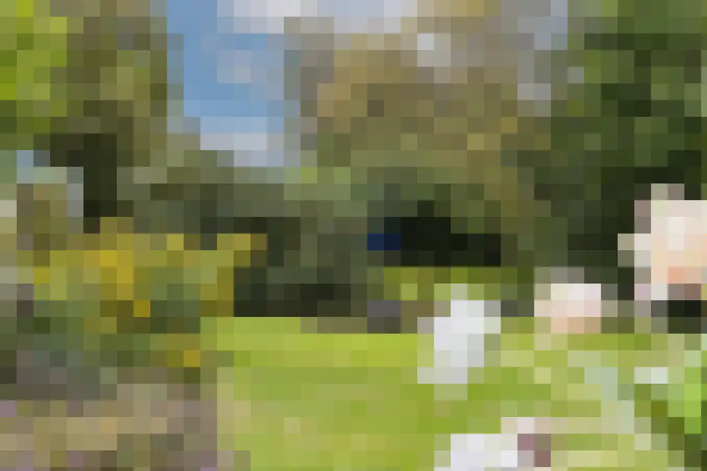 Oude Grensweg 95 Hengelo thumbnail 10