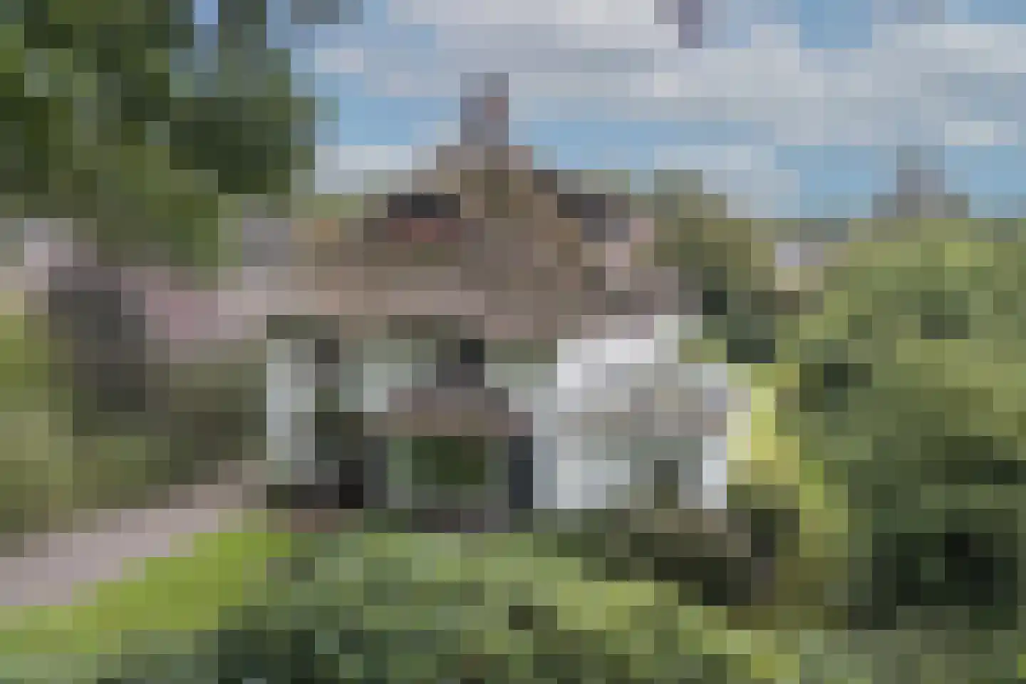 Oude Grensweg 95 Hengelo thumbnail 12