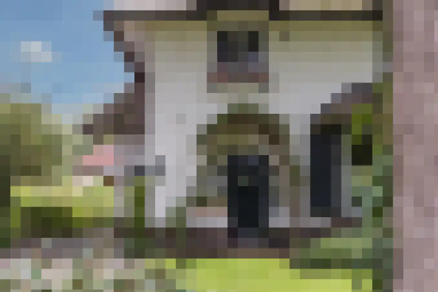 Oude Grensweg 95 Hengelo thumbnail 14