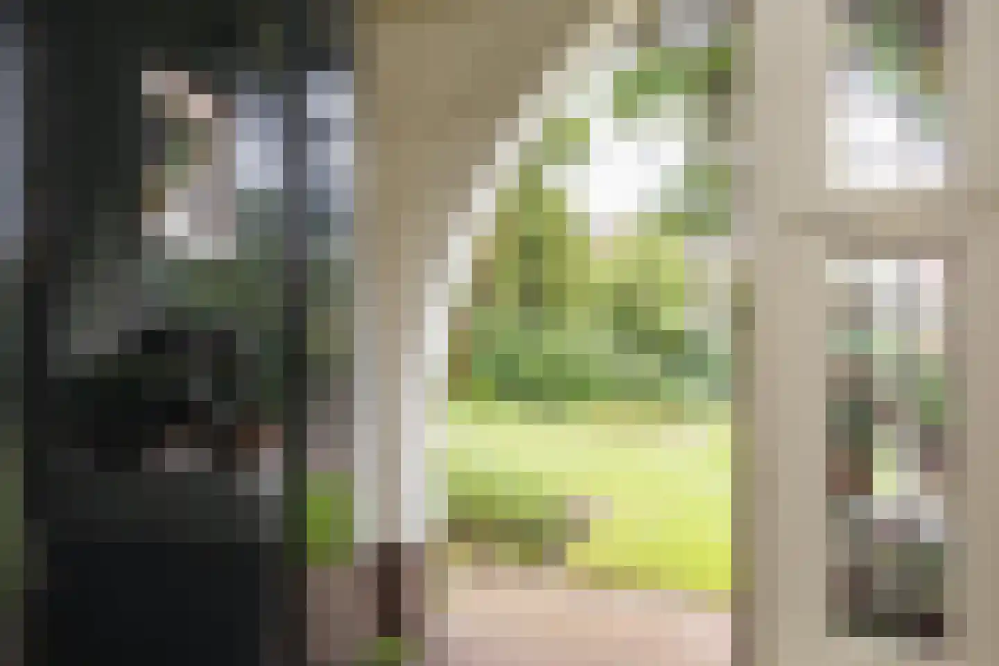 Oude Grensweg 95 Hengelo thumbnail 16