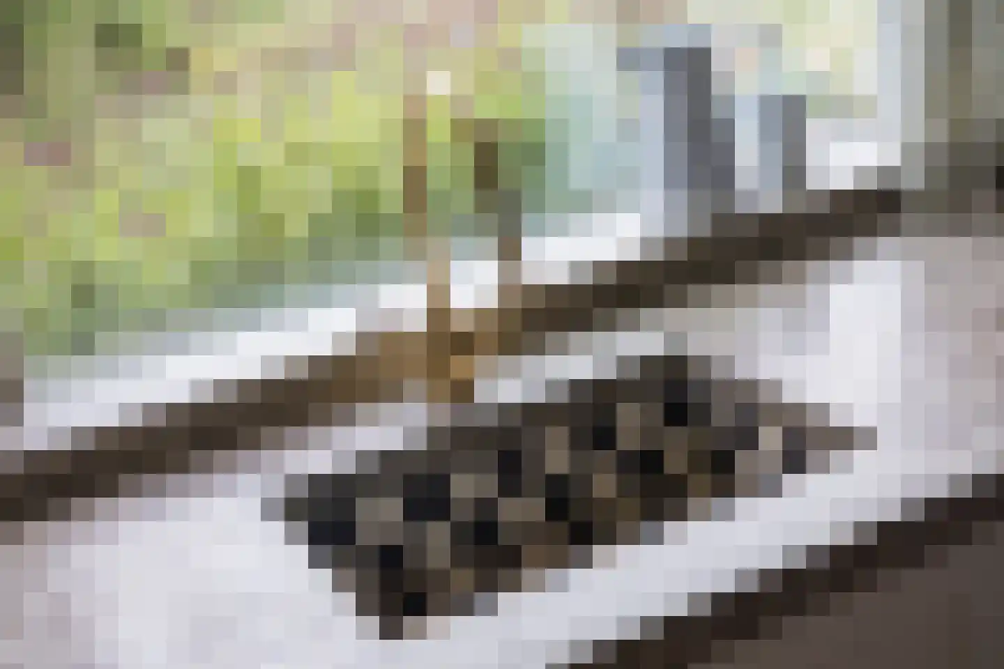 Oude Grensweg 95 Hengelo thumbnail 30