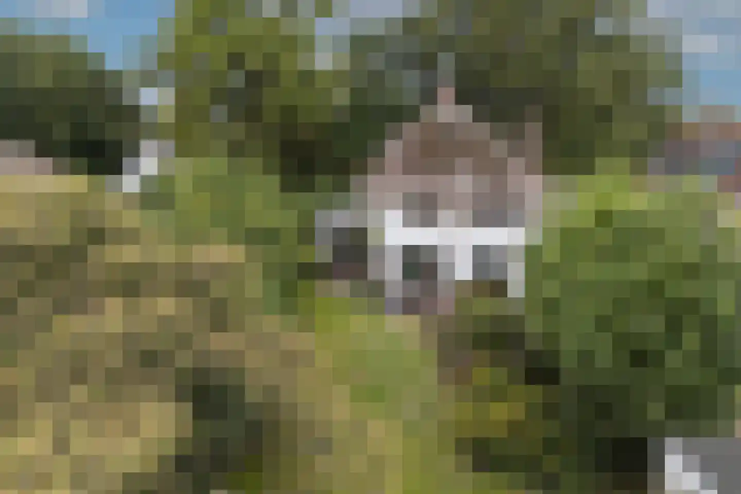 Oude Grensweg 95 Hengelo thumbnail 60
