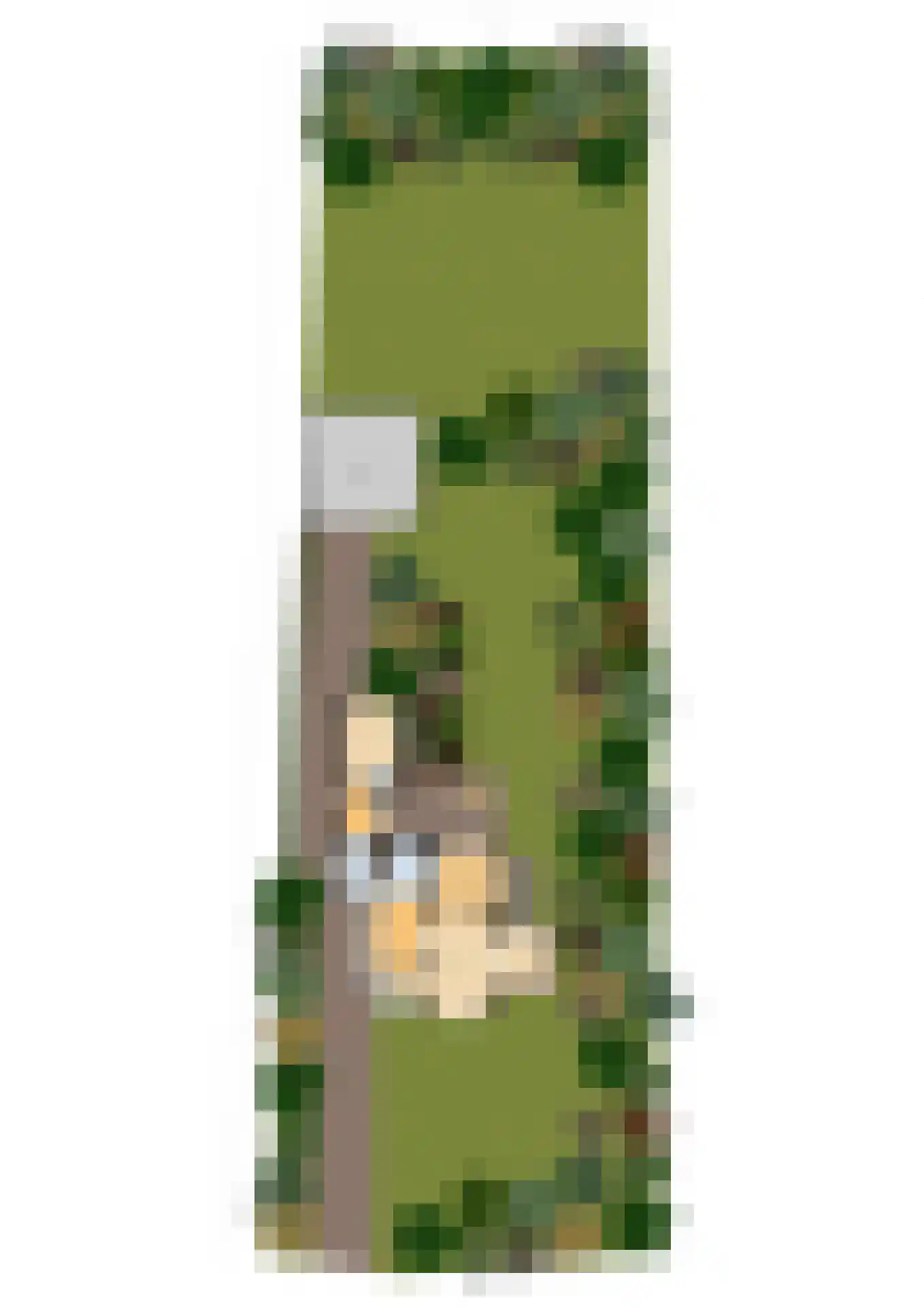 Oude Grensweg 95 Hengelo thumbnail 67