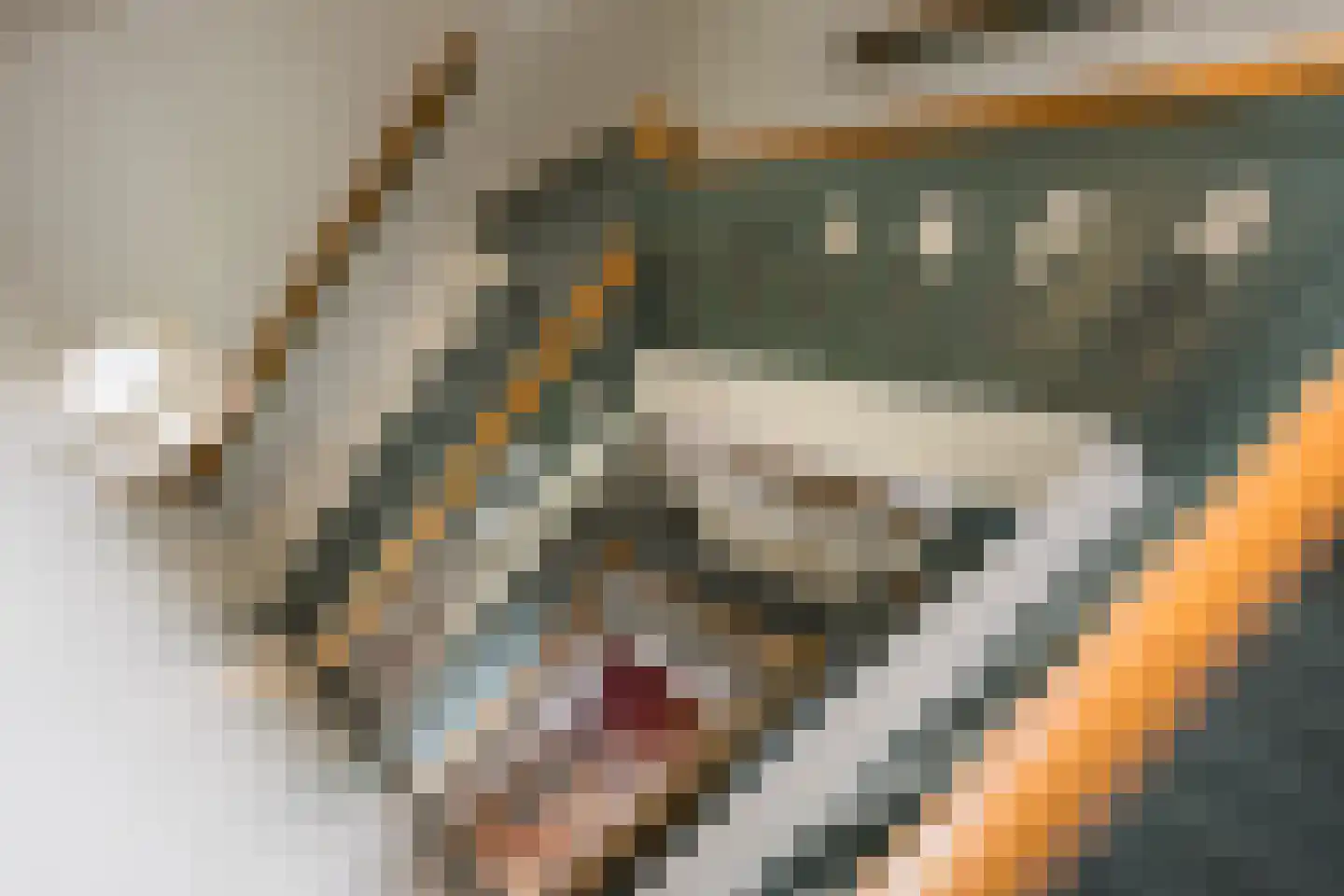 Oude Grensweg 95 Hengelo thumbnail 8