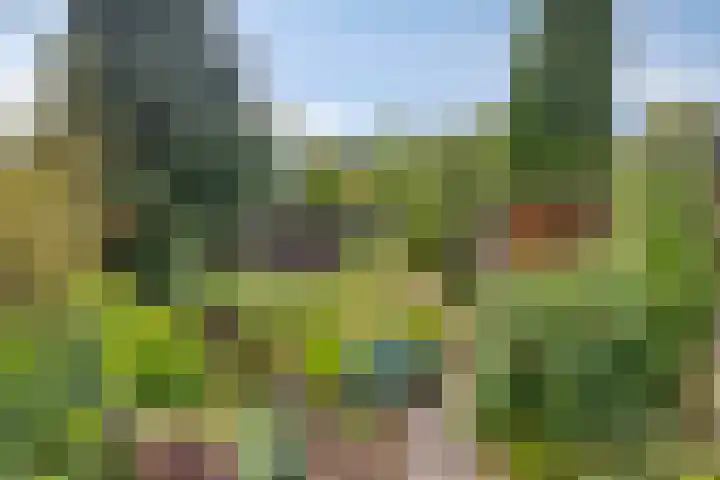 Oude Grintweg 24 Oirschot thumbnail 33