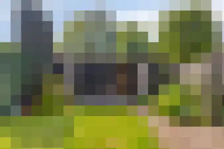 Oude Grintweg 24 Oirschot thumbnail 34