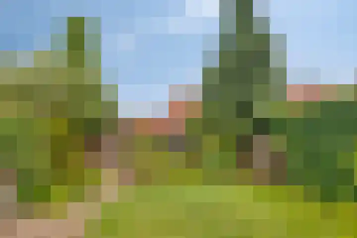 Oude Grintweg 24 Oirschot thumbnail 35