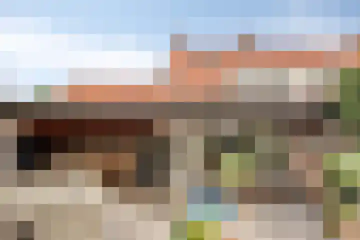 Oude Grintweg 24 Oirschot thumbnail 36