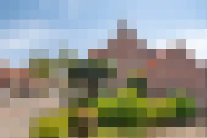 Oude Grintweg 24 Oirschot thumbnail 51