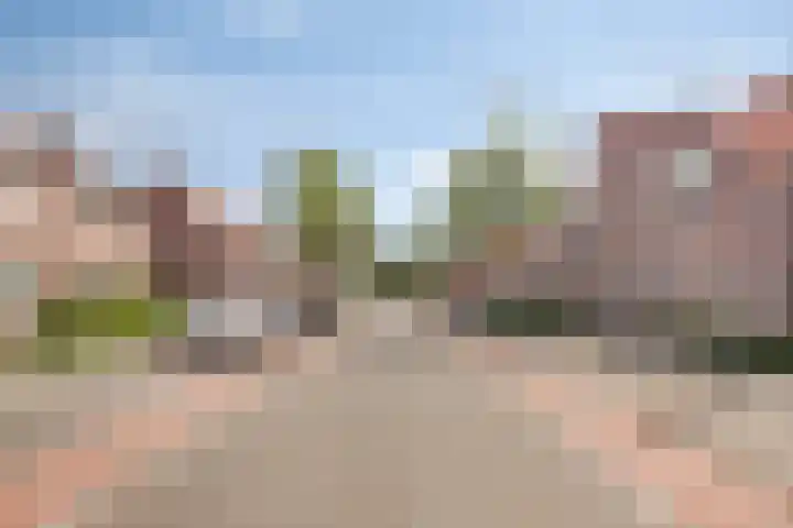 Oude Grintweg 24 Oirschot thumbnail 7