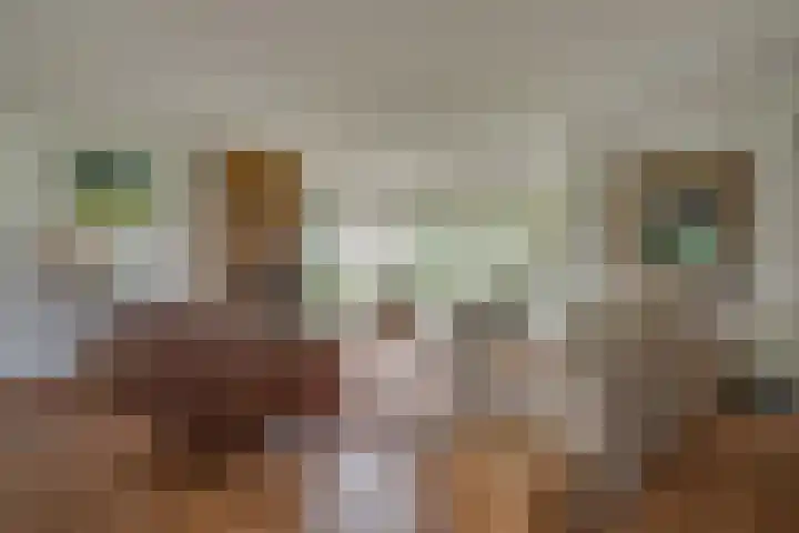 Oude Grintweg 4 Aagtekerke thumbnail 12