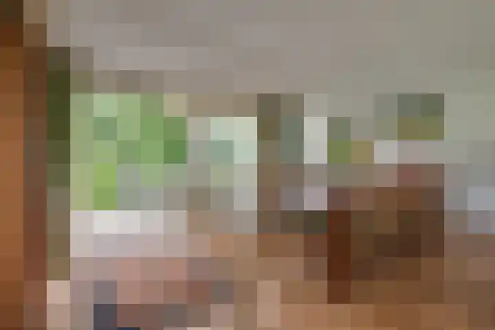 Oude Grintweg 4 Aagtekerke thumbnail 16