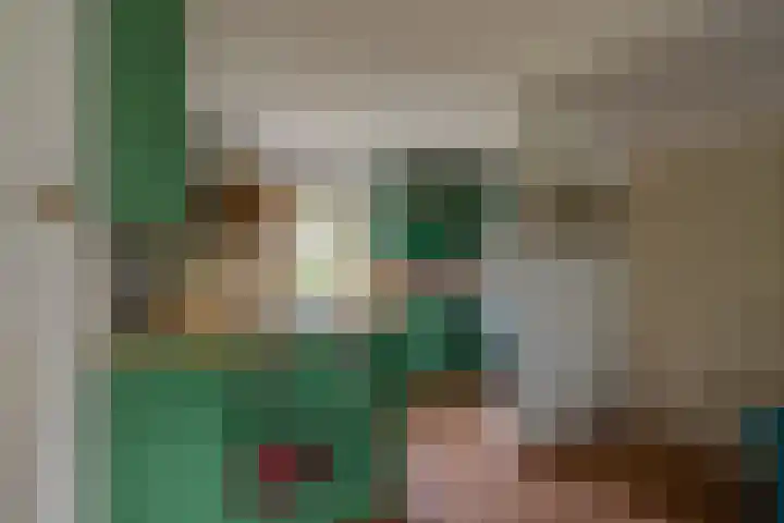 Oude Grintweg 4 Aagtekerke thumbnail 18