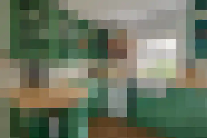 Oude Grintweg 4 Aagtekerke thumbnail 19