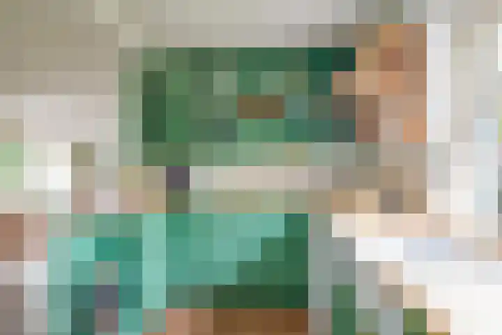 Oude Grintweg 4 Aagtekerke thumbnail 20