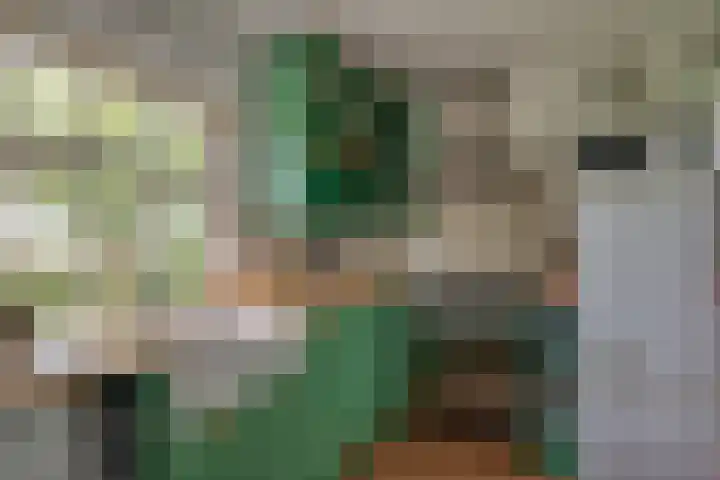 Oude Grintweg 4 Aagtekerke thumbnail 22